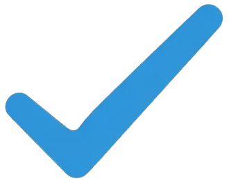 Human Verification Icon